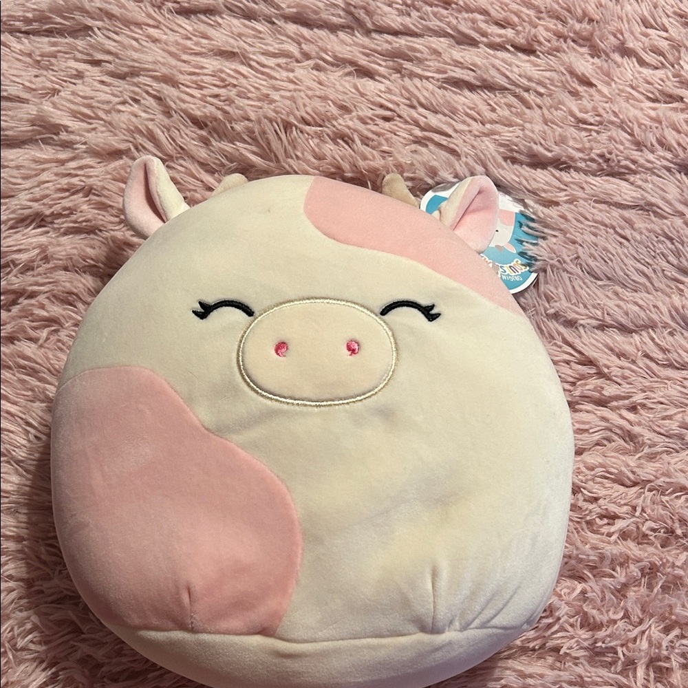 Squishmallows Caedyn (Cross listed)